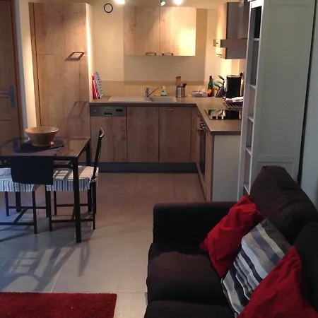 Pont Vieux Appartement